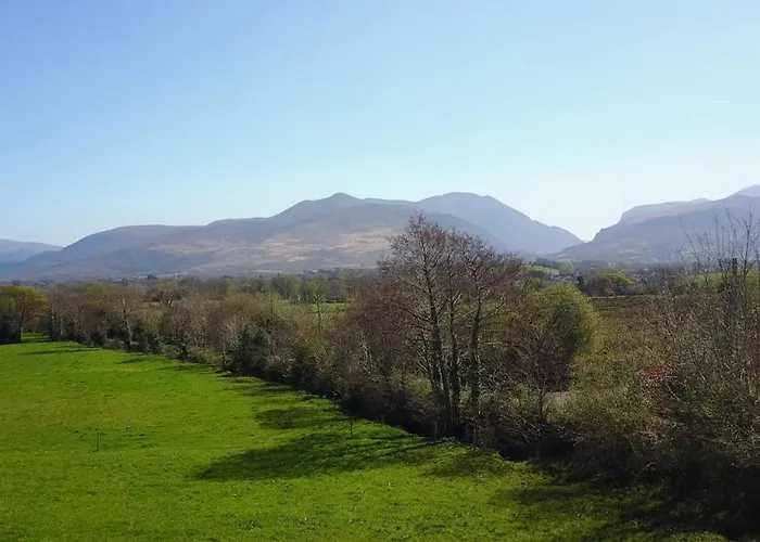 Alder House Appartamento Cill Airne